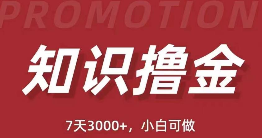 抖音知识撸金项目：简单粗暴日入1000+执行力强当天见收益(教程+资料)-88共享