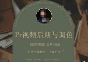 Pr视频后期与调色,视频颜值=后期+调色,这里没有套路,只有干货!-88共享