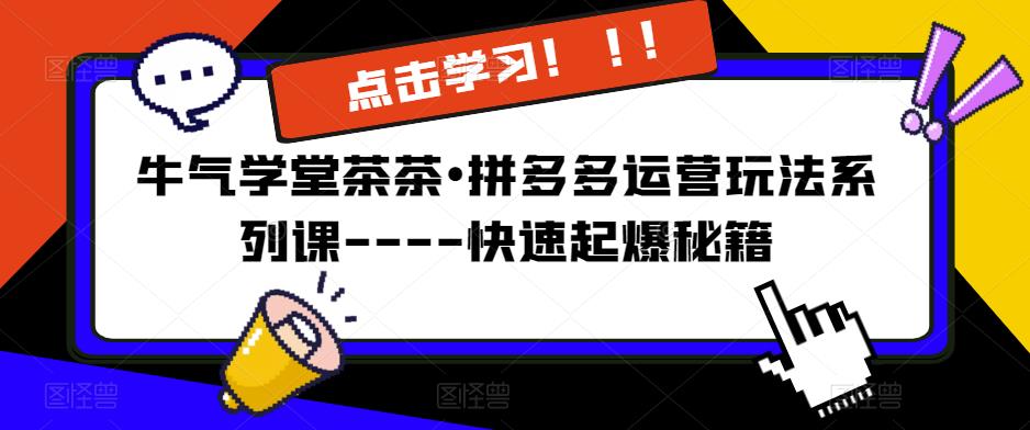 牛气学堂茶茶•拼多多运营玩法系列课—-快速起爆秘籍【更新】-88共享