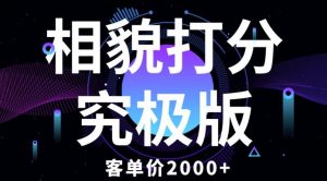 相貌打分究极版,客单价2000+纯新手小白就可操作的项目-88共享