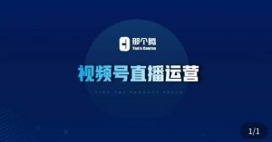 那个腾·视频号直播运营，​视频号直播推流逻辑/流量渠道解析/直播起号攻略/直播实操技巧-88共享