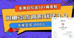 亲测日引50+精准粉，闲鱼引流高阶玩法3.0，实操变现3000元【揭秘】-88共享