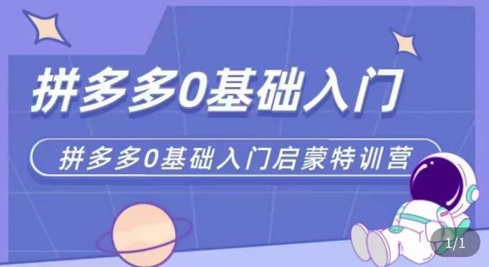 拼多多运营0-1实操特训营，拼多多0基础入门，从基础到进阶的可实操玩法-88共享