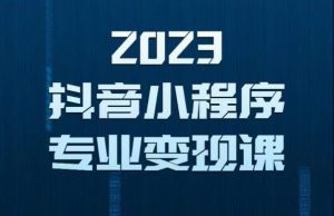 2023年抖音小程序变现保姆级教程，0粉丝新号，无需实名，3天起号，第1条视频就有收入-88共享