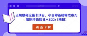 正规暴利流量卡项目，小白零基础零成本无脑照抄也能日入300+【揭秘】-88共享