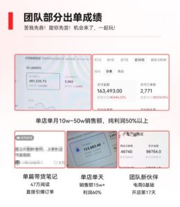 2023小红书电商火爆全网,新晋红利,风口项目,单店收益在3000-30000!-88共享