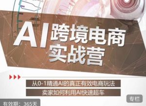 白龙老师·AI跨境电商实战营:从0-1精通Al的真正有效电商玩法,卖家如何利用Al快速超车-88共享