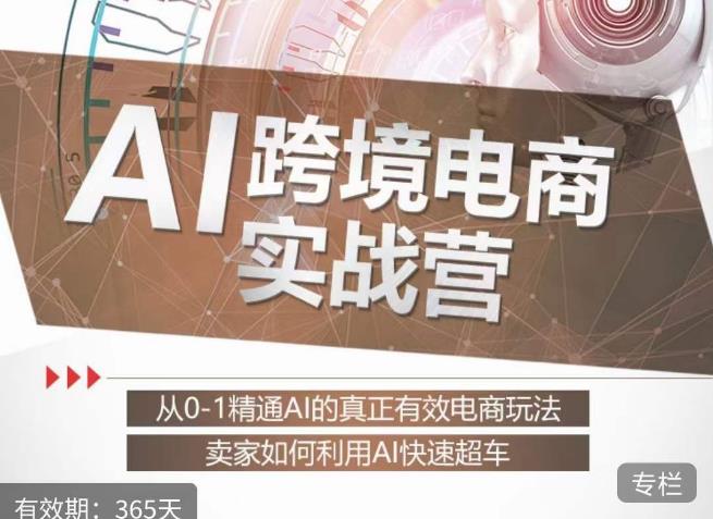 白龙老师·AI跨境电商实战营：从0-1精通Al的真正有效电商玩法，卖家如何利用Al快速超车-88共享