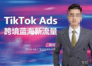 稳哥·如何投出高ROI的TikTok广告,开拓独立站卖家流量新蓝海-88共享