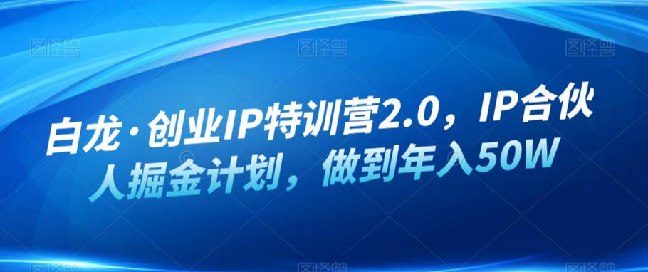 白龙·创业IP特训营2.0，IP合伙人掘金计划，做到年入50W-88共享
