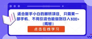 适合新手小白的搬砖项目,只需要一部手机、不用引流也能做到日入300+【揭秘】-88共享
