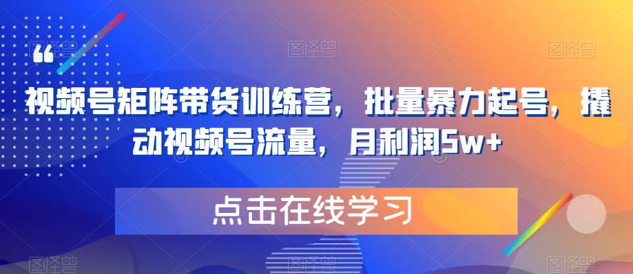 视频号矩阵带货训练营，批量暴力起号，撬动视频号流量，月利润5w+-88共享