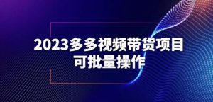 2023多多视频带货项目,可批量操作【保姆级教学】【揭秘】-88共享