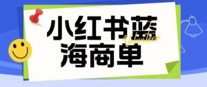 价值2980的小红书商单项目暴力起号玩法,一单收益200-300(可批量放大)-88共享