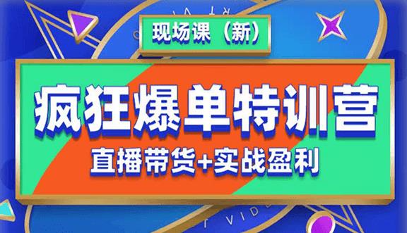 抖音短视频疯狂爆单特训营现场课（新）直播带货+实战案例-88共享