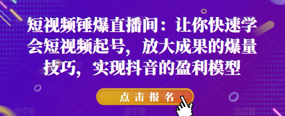 短视频锤爆直播间：让你快速学会短视频起号，放大成果的爆量技巧，实现抖音的盈利模型-88共享