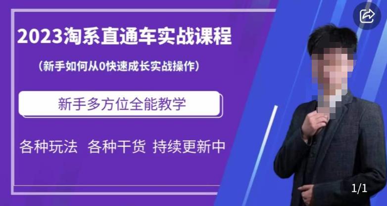 2023淘系直通车保姆式运营讲解，新手如何从0快速成长实战操作，新手多方位全能教学-88共享