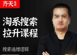 齐天电商·淘系搜索提升课程，​搜索递增标准化，动销标准化流程-88共享