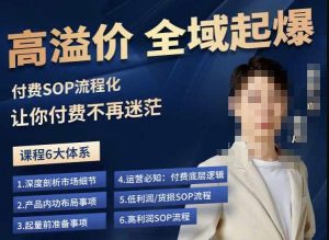 逸风-拼多多高溢价全域起爆,6大课程体系,付费玩法全套实操-88共享