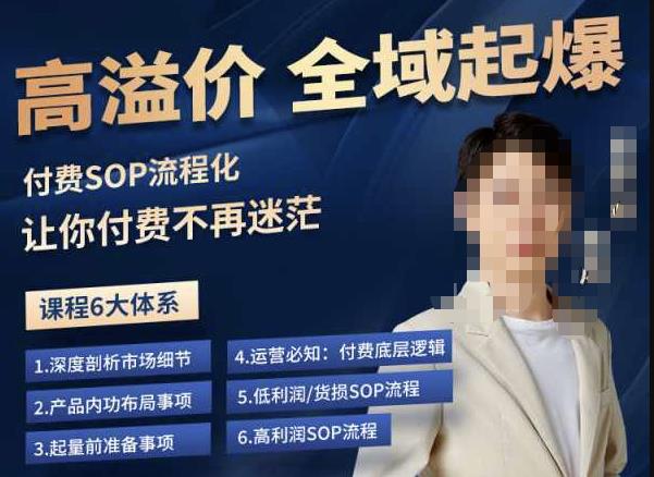 逸风-拼多多高溢价全域起爆，6大课程体系，付费玩法全套实操-88共享