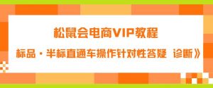 松鼠会电商VIP教程:松鼠《付费推广标品·半标直通车操作针对性答疑&诊断》-88共享