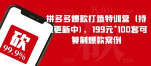 拼多多爆款打造特训营(持续更新中),199元*100套可复制爆款案例-88共享