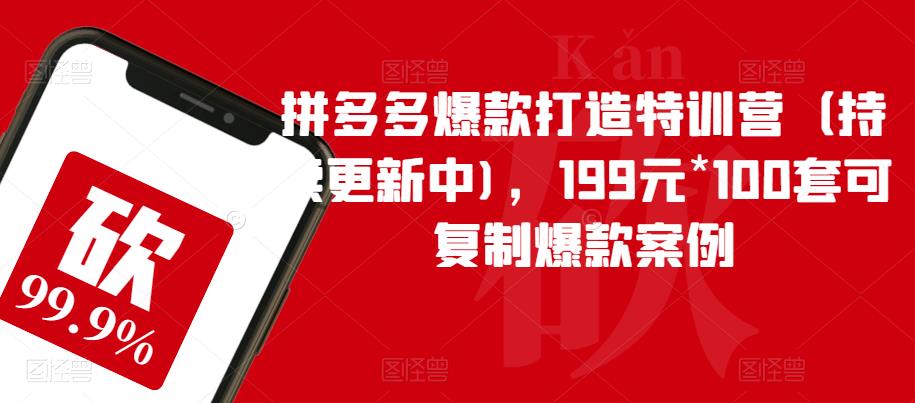 拼多多爆款打造特训营（持续更新中)，199元*100套可复制爆款案例-88共享