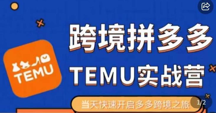 大鹏出海·拼多多跨境temu运营指导，开店注册+选品+核价上架，日出千单实战课-88共享