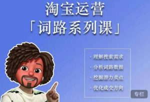 照顾酱·词路篇,手把手带你理解关键词背后的需求,想要做好淘宝,就必须理解词路-88共享