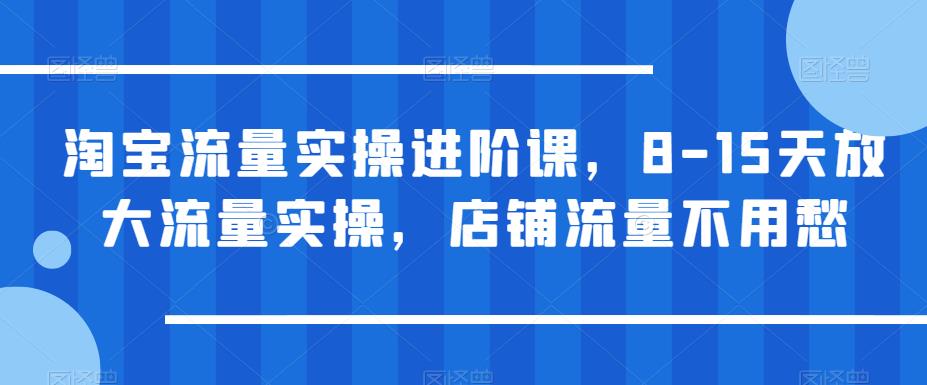 淘宝流量实操进阶课，8-15天放大流量实操，店铺流量不用愁-88共享