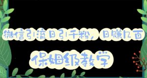 微信互推圈半自动引流方案,矩阵操作日引千人思路【详细视频教程】-88共享