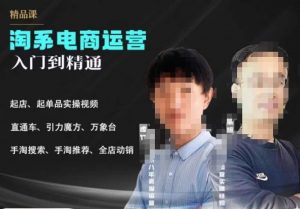 2023手淘搜索实操课+体系化课程,起店起单品实操视频课程-88共享