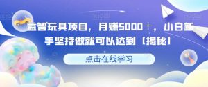 益智玩具项目，月赚5000＋，小白新手坚持做就可以达到【揭秘】-88共享