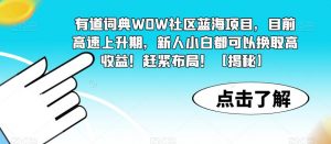 有道词典WOW社区蓝海项目,目前高速上升期,新人小白都可以换取高收益!赶紧布局!【揭秘】-88共享