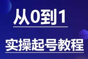 石野·小白起号实操教程,掌握各种起号的玩法技术,了解流量的核心-88共享