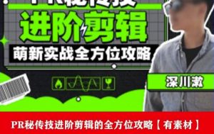 PR进阶剪辑培训班,让你快速成为剪辑大师12节视频课程+素材!-88共享