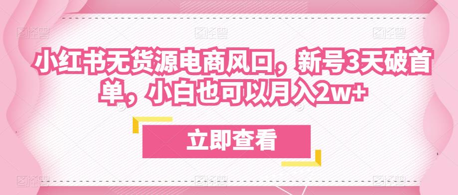 众狼电商余文小红书无货源电商风口，新号3天破首单，小白也可以月入2w+-88共享