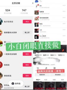 一天做完别一辈子的视频制作最近很火的《1000个野路子信息差》100%过原创【揭秘】-88共享