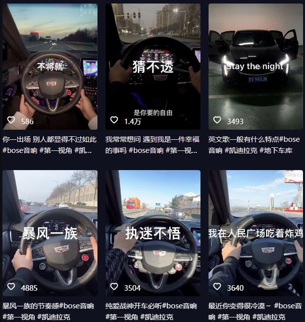 抖音开车视频项目，0基础操作，每天五分钟，月入1W+【揭秘】-88共享