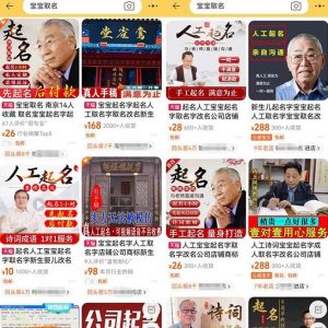 拆解小红书宝宝起名虚拟副业项目,一条龙实操玩法分享给你(教程+软件)-88共享