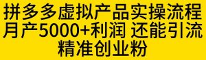 拼多多虚拟产品实操流程,月产5000+利润,还能引流精准创业粉【揭秘】-88共享