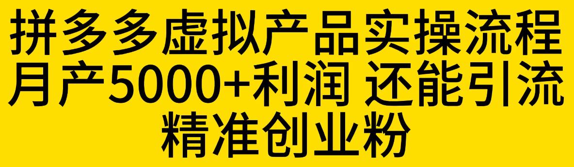 拼多多虚拟产品实操流程，月产5000+利润，还能引流精准创业粉【揭秘】-88共享