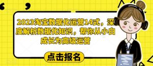 2023淘宝数据化运营14式,深度解析数据化知识,帮你从小白成长为高级运营-88共享