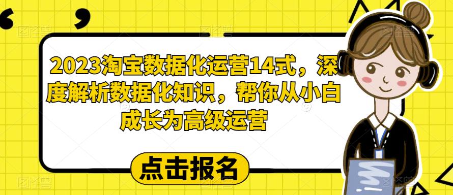 2023淘宝数据化运营14式，深度解析数据化知识，帮你从小白成长为高级运营-88共享