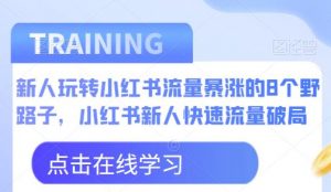 新人玩转小红书流量暴涨的8个野路子,小红书新人快速流量破局-88共享