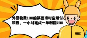 外面收费188的美团准时宝赔付项目，一小时完成一单利润200【仅揭秘】-88共享