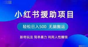 小红书援助项目新奇玩法，简单暴力，无脑搬运轻松日入500【揭秘】-88共享