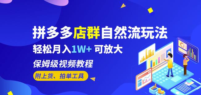 拼多多店群自然流玩法，轻松月入1W+保姆级视频教程（附上货、拍单工具）-88共享
