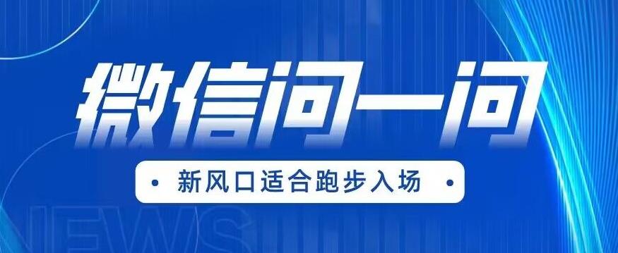 全网首发微信问一问新风口变现项目（价值1999元）【揭秘】-88共享