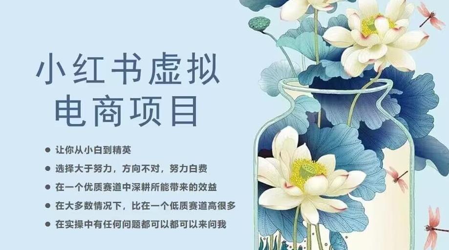 小红书虚拟电商从0到1，让你从小白到精英（20节实操课程）-88共享